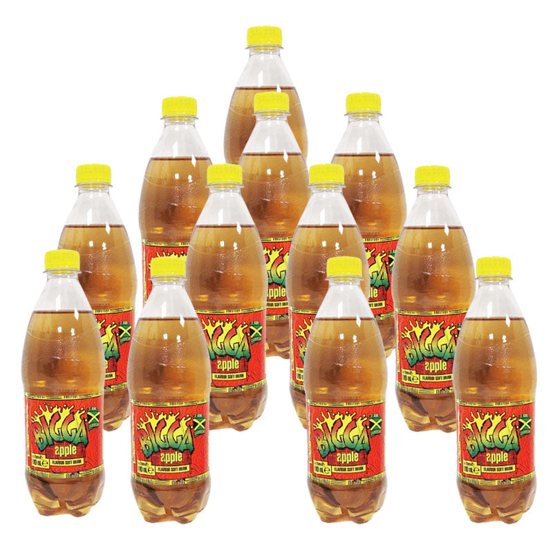 Bigga Soft Drinks 600ml Assorted Flavours (Box of 6 & 12 Bottles)
