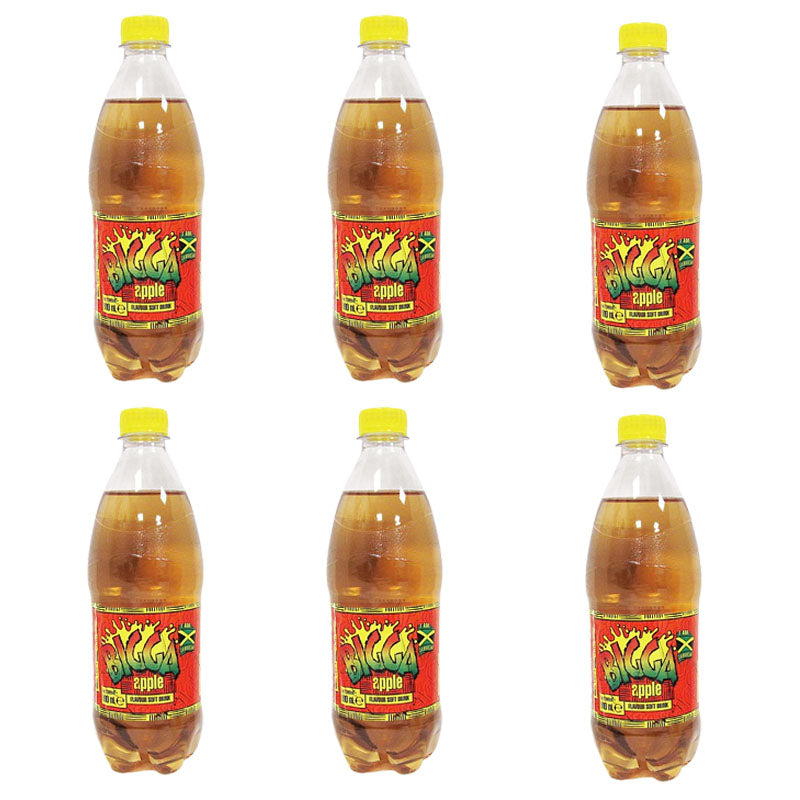 Bigga Soft Drinks 600ml Assorted Flavours (Box of 6 & 12 Bottles)