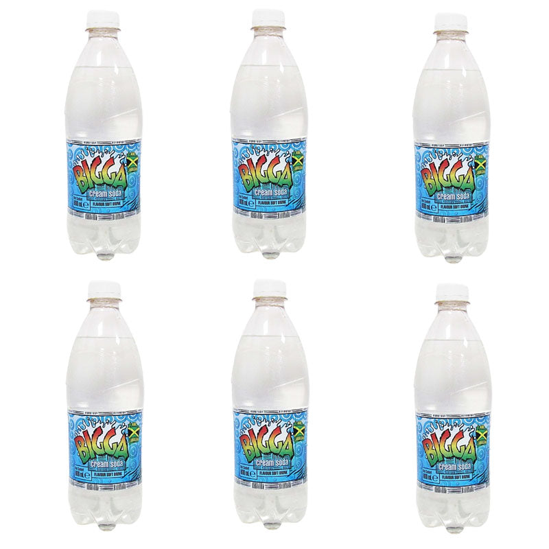 Bigga Soft Drinks 600ml Assorted Flavours (Box of 6 & 12 Bottles)