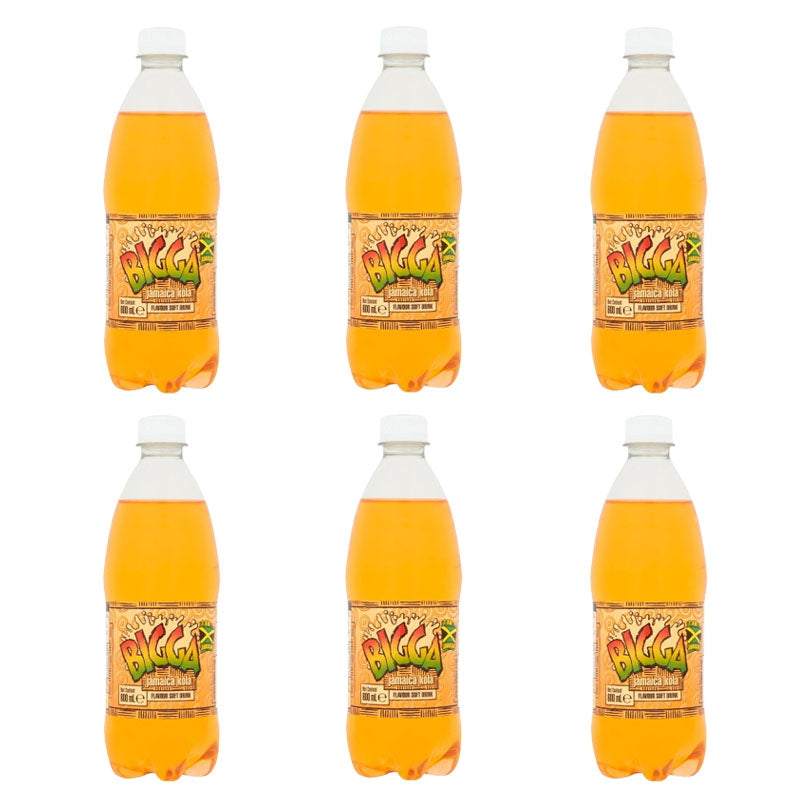 Bigga Soft Drinks 600ml Assorted Flavours (Box of 6 & 12 Bottles)